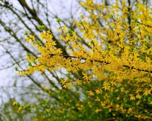 Синоптики порадували прогнозом на понеділок